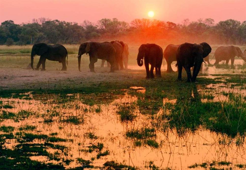 Lodge Safari - Desert, Rivers, and Adventure — 8